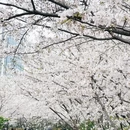 宁波旅游 缩略图 1