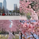 宁波旅游 缩略图 3