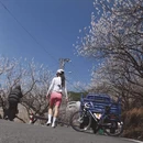 宁波旅游 缩略图 9