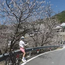 宁波旅游 缩略图 10