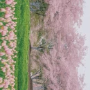 宁波旅游 缩略图 3