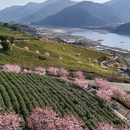 宁波旅游 缩略图 1