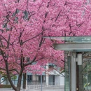 宁波旅游 缩略图 2