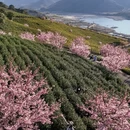 宁波旅游 缩略图 4