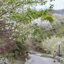 宁波旅游 缩略图 8