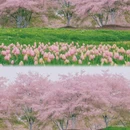 宁波旅游 缩略图 12
