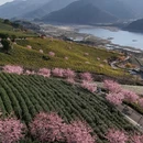 宁波旅游 缩略图 8