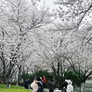 宁波旅游 缩略图 2