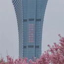 宁波旅游 缩略图 7