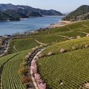 宁波旅游 缩略图 9