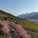 宁波旅游 缩略图 10