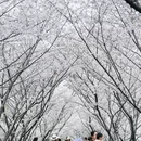 宁波旅游 缩略图 8