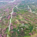 宁波旅游 缩略图 1