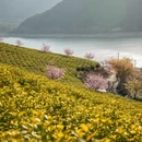 宁波旅游 缩略图 16