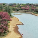 宁波旅游 缩略图 2