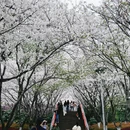 宁波旅游 缩略图 9