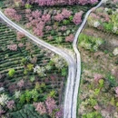 宁波旅游 缩略图 3