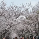 宁波旅游 缩略图 10