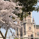 宁波旅游 缩略图 12