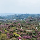 宁波旅游 缩略图 4