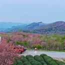 宁波旅游 缩略图 5