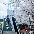 宁波旅游 缩略图 2