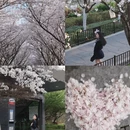 宁波旅游 缩略图 5