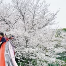 宁波旅游 缩略图 3