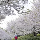 宁波旅游 缩略图 12