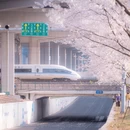 宁波旅游 缩略图 5