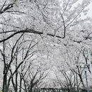 宁波旅游 缩略图 5