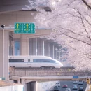 宁波旅游 缩略图 7