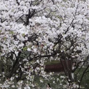 宁波旅游 缩略图 7
