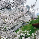 宁波旅游 缩略图 6