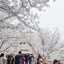 宁波旅游 缩略图 7