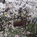 宁波旅游 缩略图 9