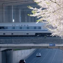 宁波旅游 缩略图 2