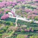 宁波旅游 缩略图 8