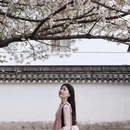 宁波旅游 缩略图 17