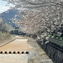 宁波旅游 缩略图 1