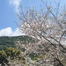 宁波旅游 缩略图 2