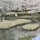 宁波旅游 缩略图 2