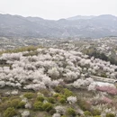 宁波旅游 缩略图 3