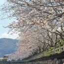 宁波旅游 缩略图 4