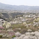 宁波旅游 缩略图 4