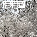 宁波旅游 缩略图 2