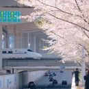 宁波旅游 缩略图 6