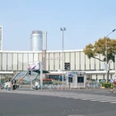 宁波旅游 缩略图 7