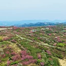 宁波旅游 缩略图 12