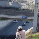 宁波旅游 缩略图 7